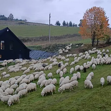 Appartamento Czarna Decha *