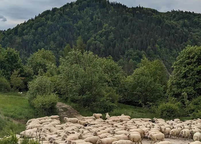 Appartamento Czarna Decha